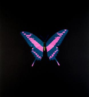Damien Hirst:The Souls on Jacob's Ladder Take Their Flight (Blue with Pink/Yellow)