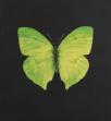 Damien Hirst:The Souls on Jacob's Ladder Take Their Flight (Large Green/Yellow Butterfly) 